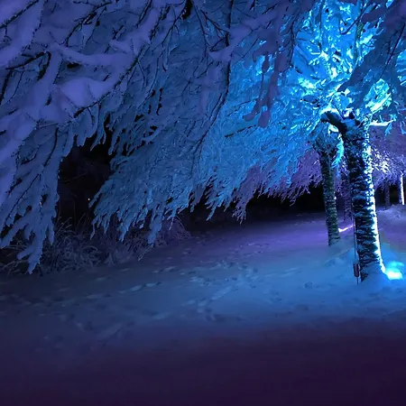 Hahnenkleer Huette Harzliebe * Goslar